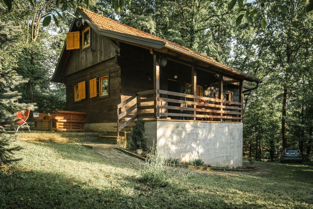 Wooden House Near The River Kupa Kamanje Eksteriør bilde